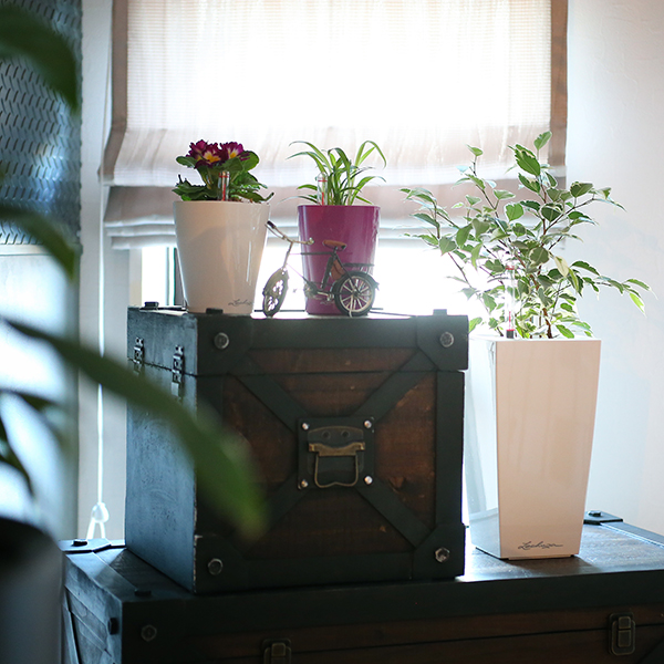 レチューザ 底面給水機能付きプランター MAXI-CUBI LECHUZA