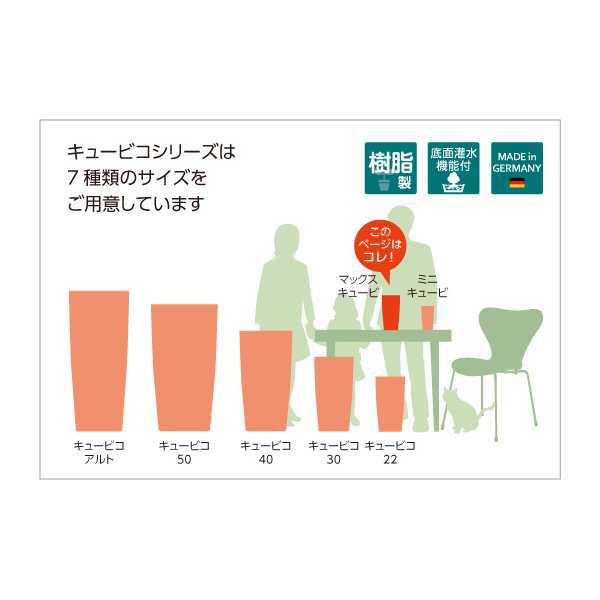 レチューザマックスキュービ
