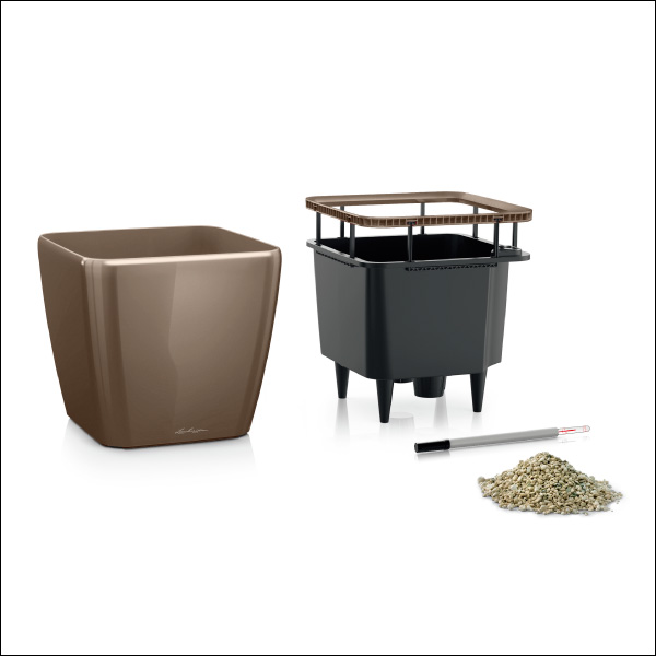 クアドロジョーカー