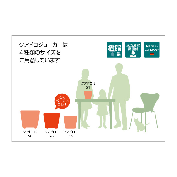 クアドロジョーカー