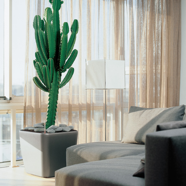 クアドロジョーカー