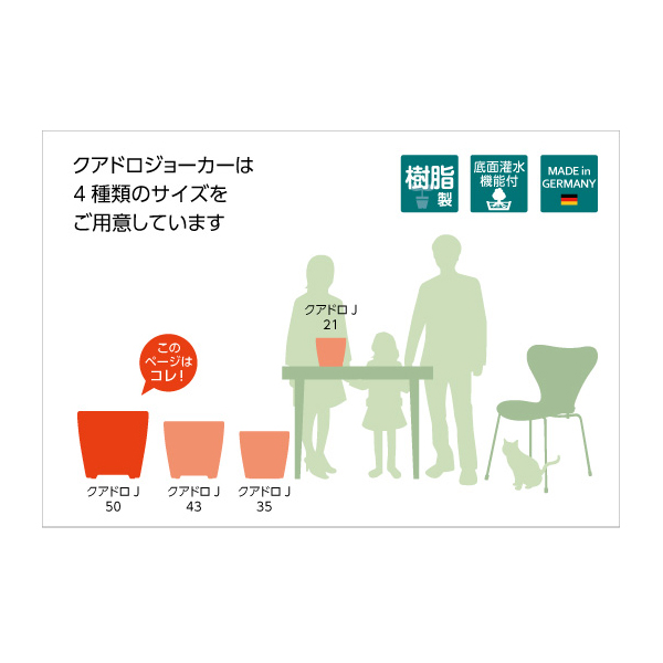 クアドロジョーカー