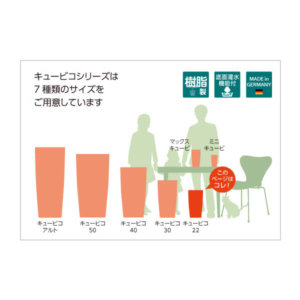 レチューザキュービコ22