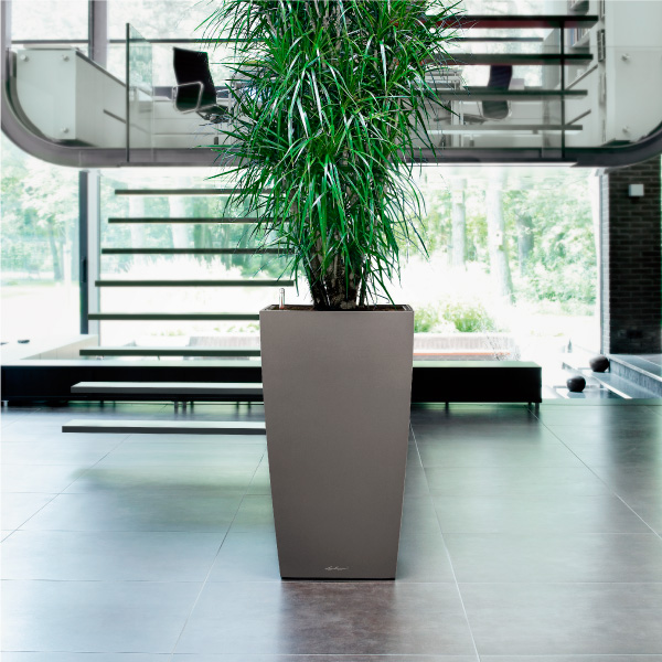 レチューザキュービコ40