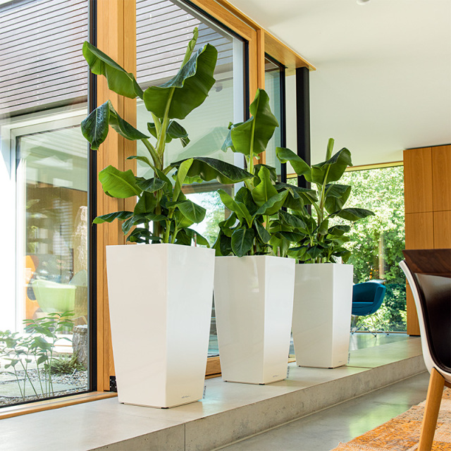 レチューザキュービコ40 白 訳あり】アウトレットセールSALEレチューザプレミアムキュービコ40