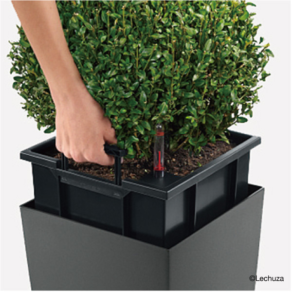 レチューザキュービコ50