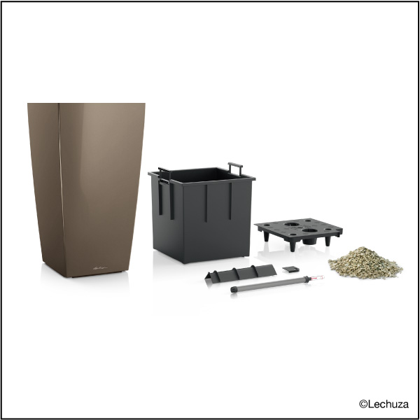 レチューザキュービコ50