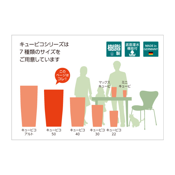 レチューザキュービコ50