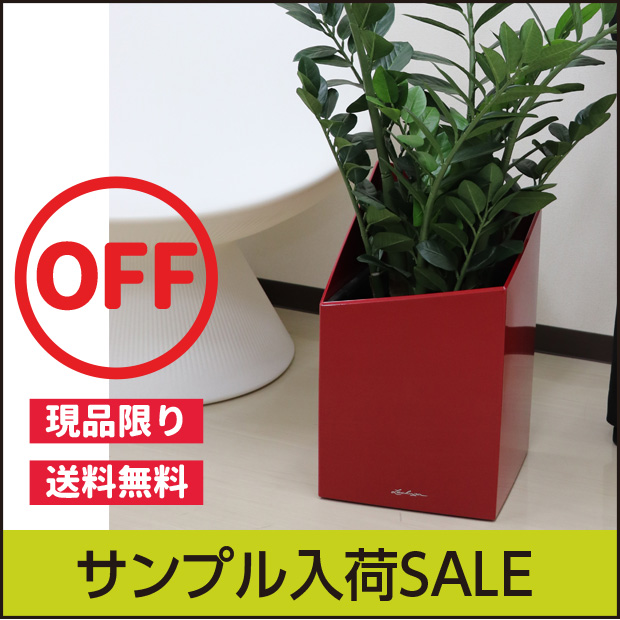 ☆送料無料☆【少量入荷品】アウトレットセール品・レチューザプレミアム・カーシーボ30カバータイプ・LECHUZA・プラスチック製