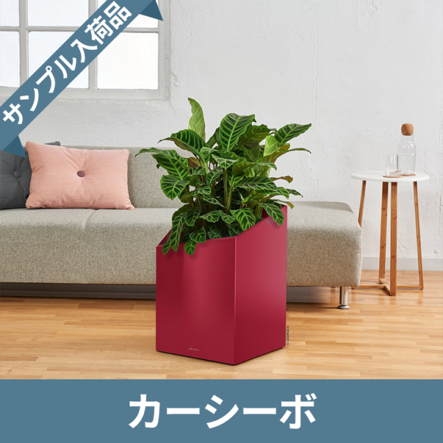 送料無料【サンプル入荷品/現品限り】カーシーボ　スカーレット　|　鉢カバータイプ　LECHUZA　プラスチック製　OUTLETSALE