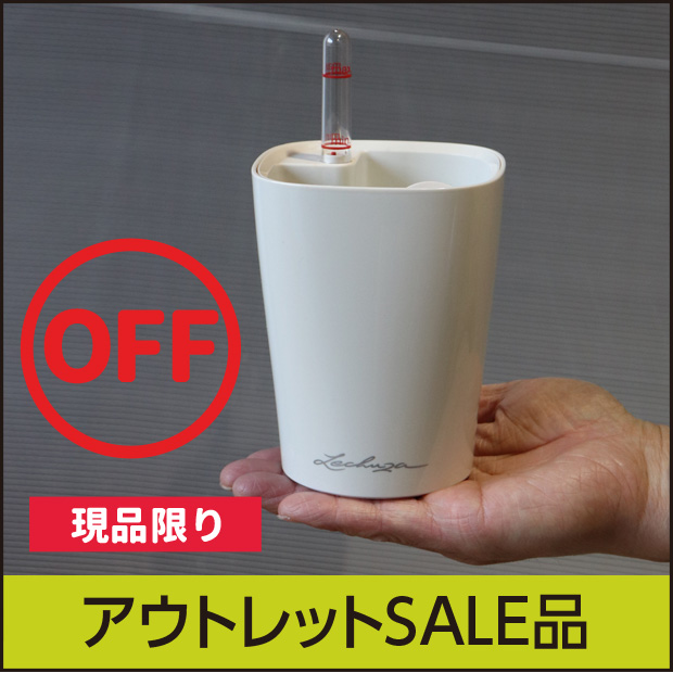 【訳あり】レチューザミニデルティーニ・LECHUZA・アウトレットセール