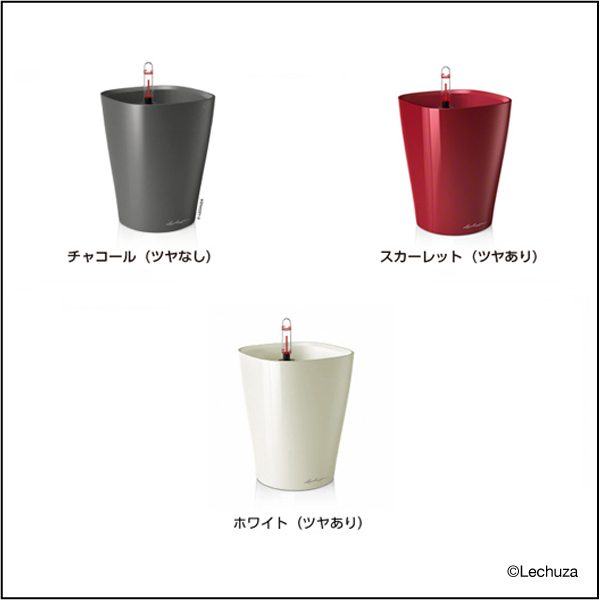 中国 足付洗筆（重菱形　鉢）　f12230902 ドイツ生まれの機能美プランター『レチューザ』デルティーニ