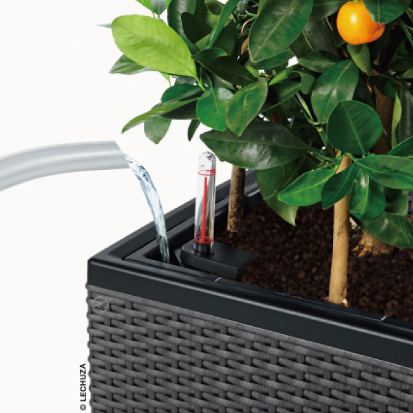 レチューザコテージ