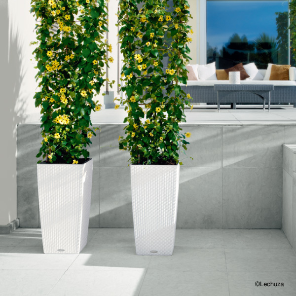 レチューザコテージ