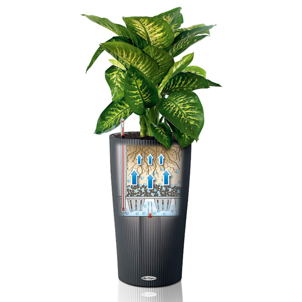 レチューザ シリンドロロフト