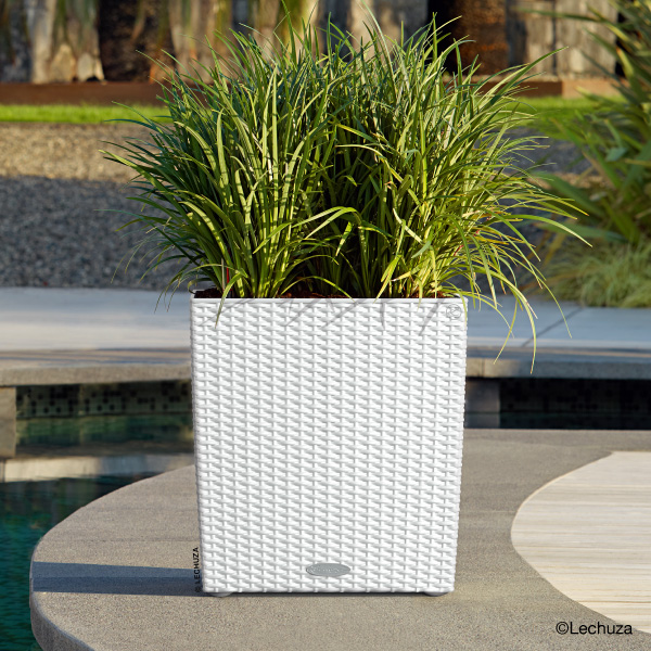 コテージキューブ