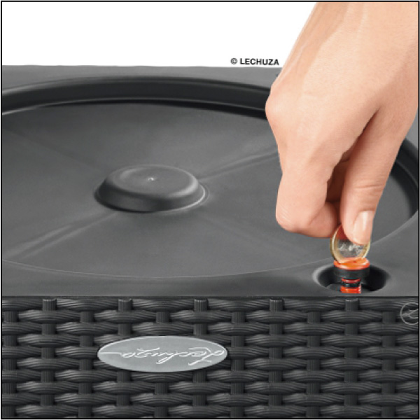 コテージキューブ