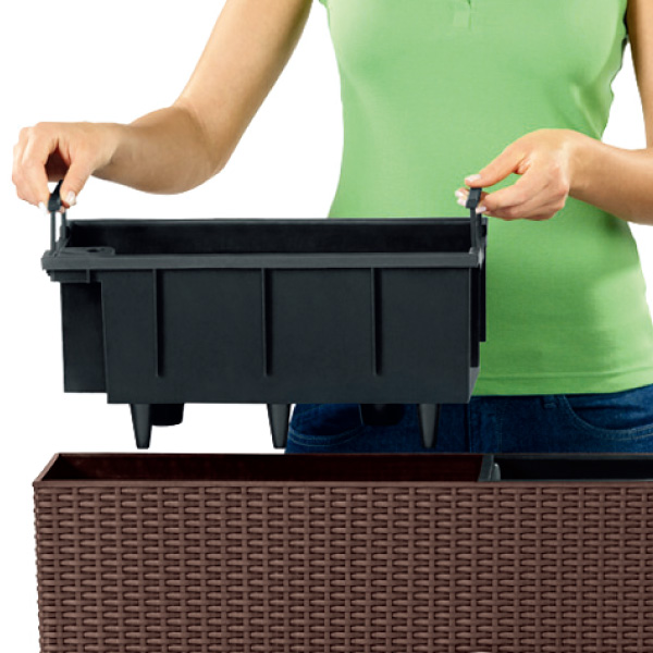 レチューザバルコネラ