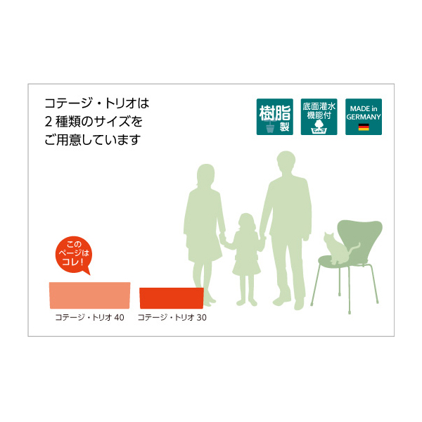 コテージトリオ