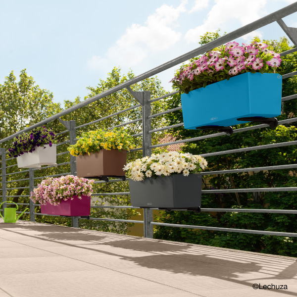 レチューザバルコネラ