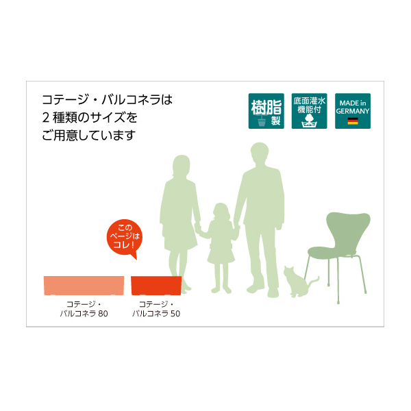 レチューザバルコネラ