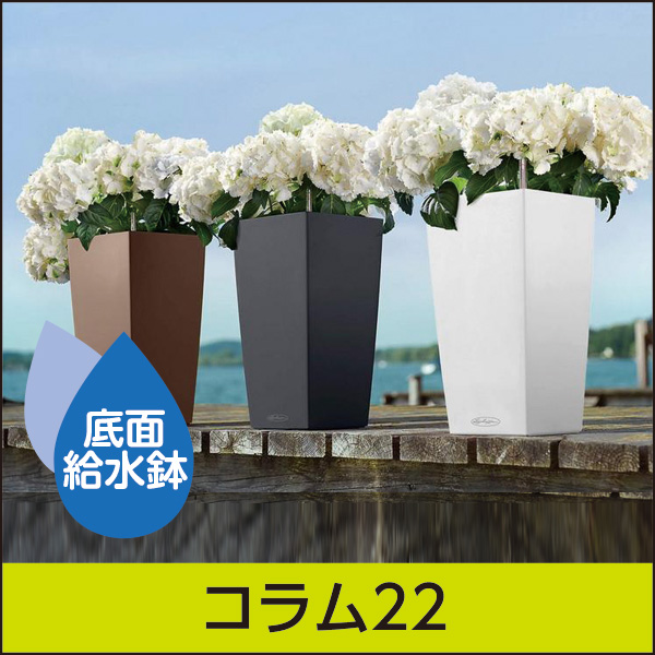 底面給水機能付きプランター【レチューザエコノミー】コラム22・LECHUZA・プラスチック製