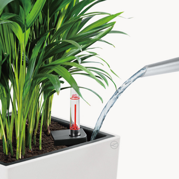 レチューザコラム30