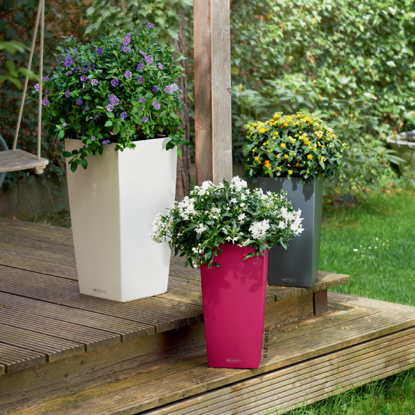 レチューザコラム30