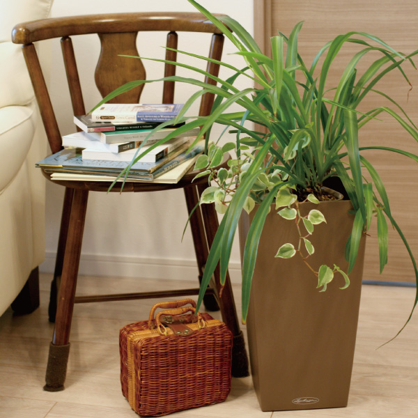 レチューザコラム30