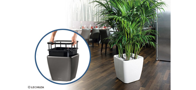 [未使用・訳あり] レチューザ　クアドロ・ジョーカー43 底面給水鉢 ドイツ製プランター『LECHUZA・レチューザ』クアドロ