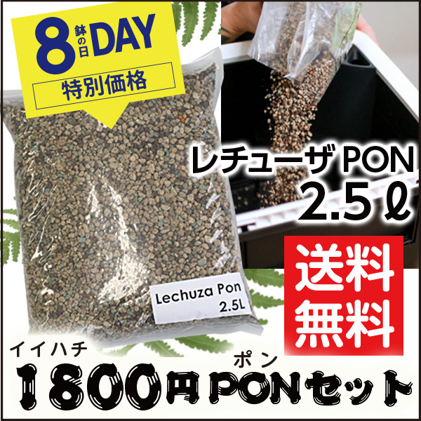★送料無料★8の日セール限定【LECHUZA】レチューザ・ポン（クレイ）2.5リットル・イイハチ1800円PONセット