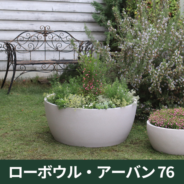 大人気！トリカラー自然樹形2.3M(鉢底から) 直径80センチまでの鉢＜大型植木鉢・大型プランター・大型素焼き鉢
