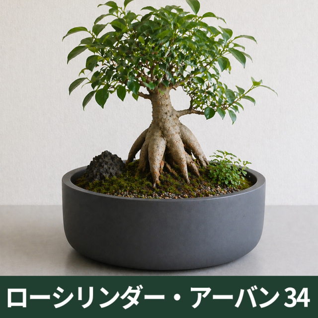 ★送料再計算商品★【マツオマリンファイバーコレクション】ローシリンダー・アーバン34/GFRP製