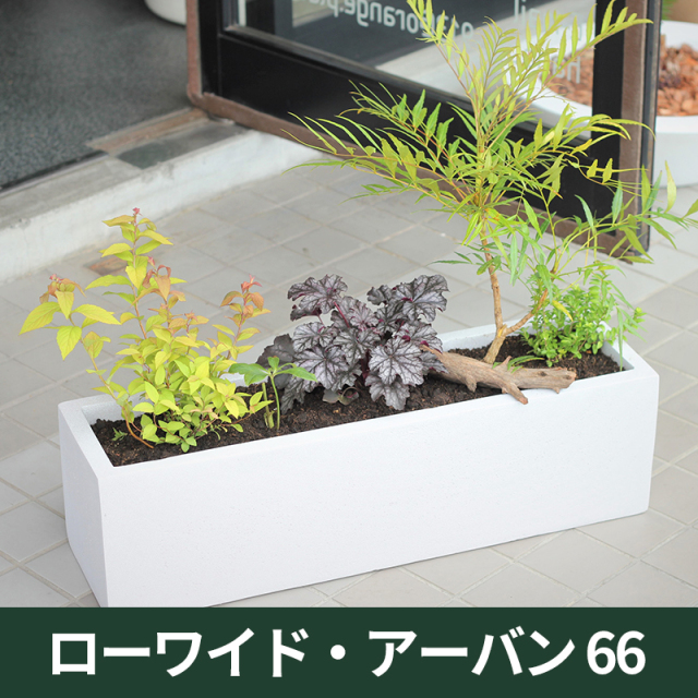 ☆送料別途☆【マツオマリンファイバーコレクション】ローワイド