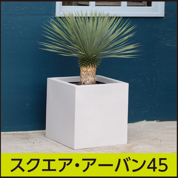 鉢・プランター mari 51AZ8SSA8cS._UF350,350_QL50_.jpg