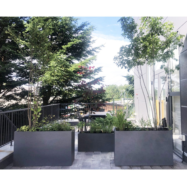 【Rain】フラメンコファルダ　マーメイドタイプ リールリール ガールズ 小学生女子 / 子供用傘 雨傘 長傘 グラス