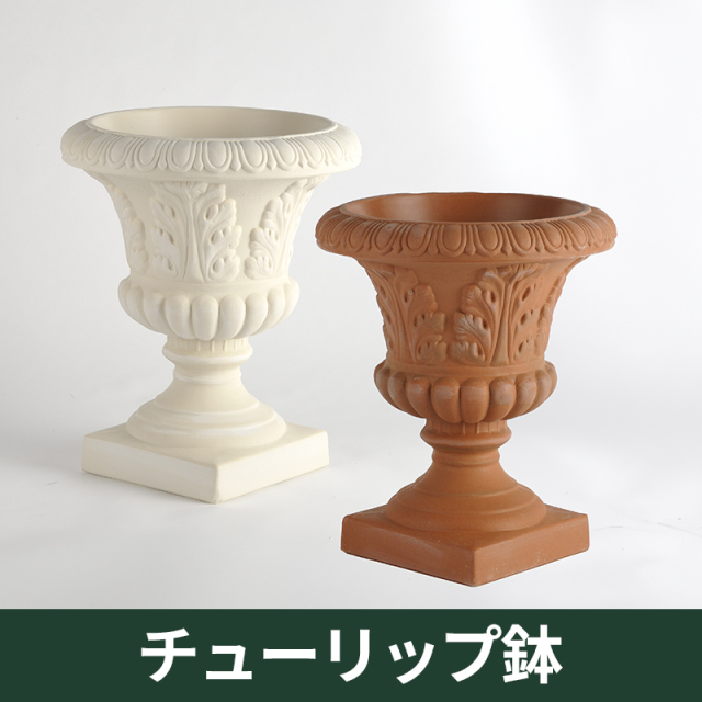 送料無料【セラルンガ】チューリップ鉢・プラスチック・樹脂製