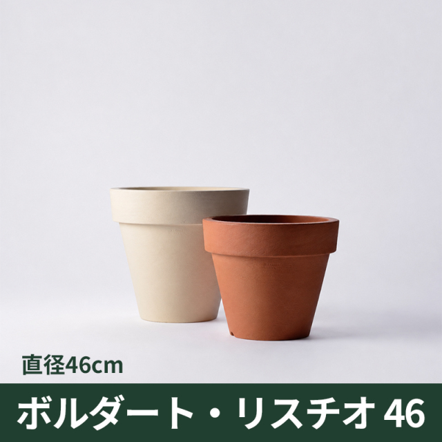 送料無料【セラルンガ】ボルダート・リスチオ46・プラスチック・樹脂製