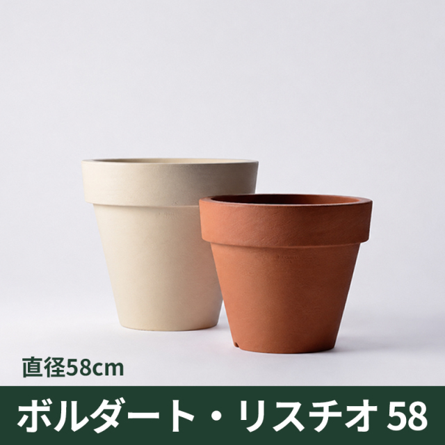 送料無料【セラルンガ】ボルダート・リスチオ58・プラスチック・樹脂製