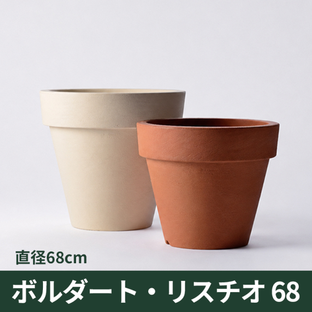 【セラルンガ】ボルダート・リスチオ68・プラスチック・樹脂製