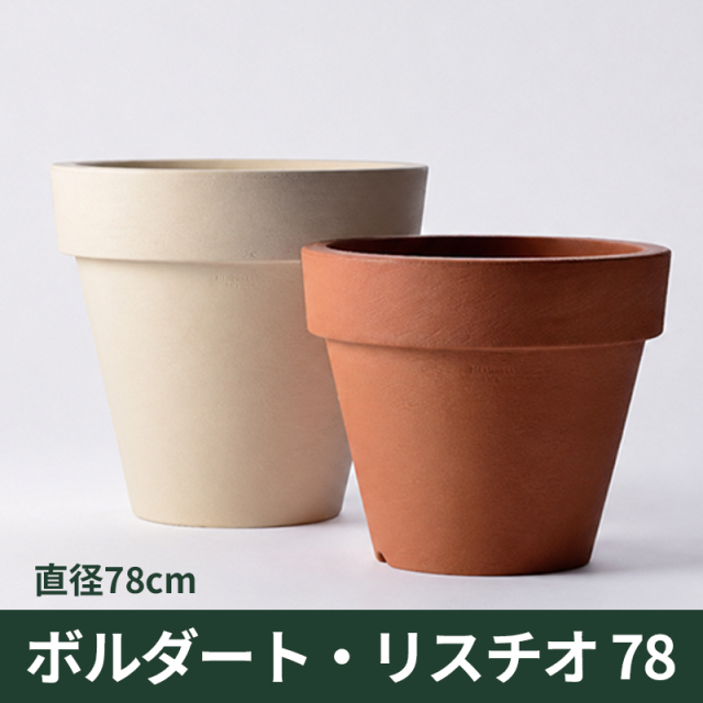 【セラルンガ】ボルダート・リスチオ78・プラスチック・樹脂製
