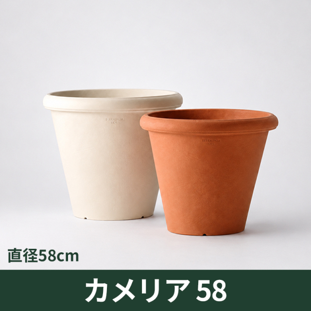 送料無料【セラルンガ】カメリア58・プラスチック・樹脂製