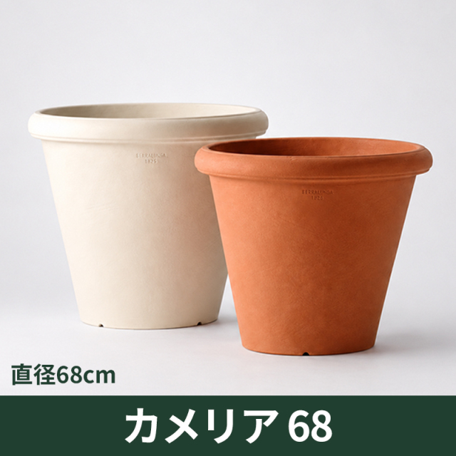 【セラルンガ】カメリア68・プラスチック・樹脂製