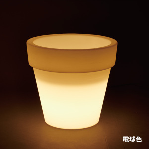 ボルダートリスチオライト付き