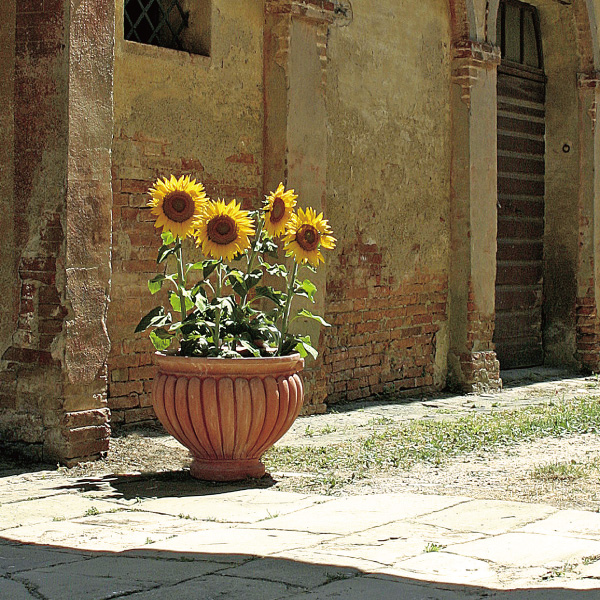 究極のハンドメイド・イタリアンテラコッタ素焼き鉢【スキャネラッタ