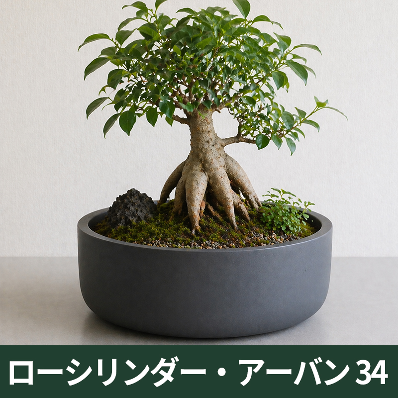 ★送料再計算商品★【マツオマリンファイバーコレクション】ローシリンダー・アーバン34/GFRP製