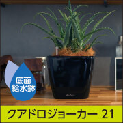 レチューザ・プレミアム｜クアドロジョーカー｜ヨーロッパから直輸入