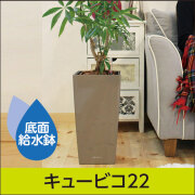 直径40センチまでの鉢