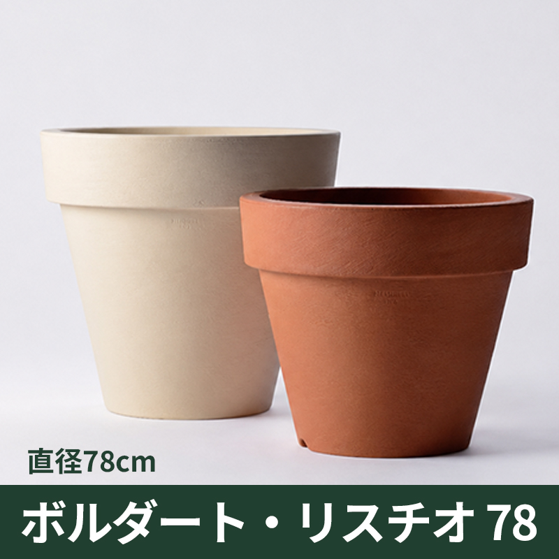 【セラルンガ】ボルダート・リスチオ78・プラスチック・樹脂製