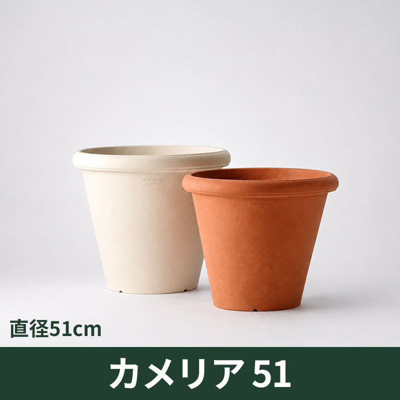 送料無料【セラルンガ】カメリア51・プラスチック・樹脂製